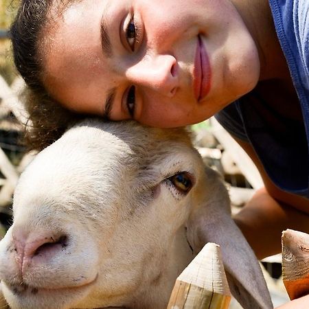 Borgo La Dogana Ξενοδοχείο Tuoro sul Trasimeno Εξωτερικό φωτογραφία