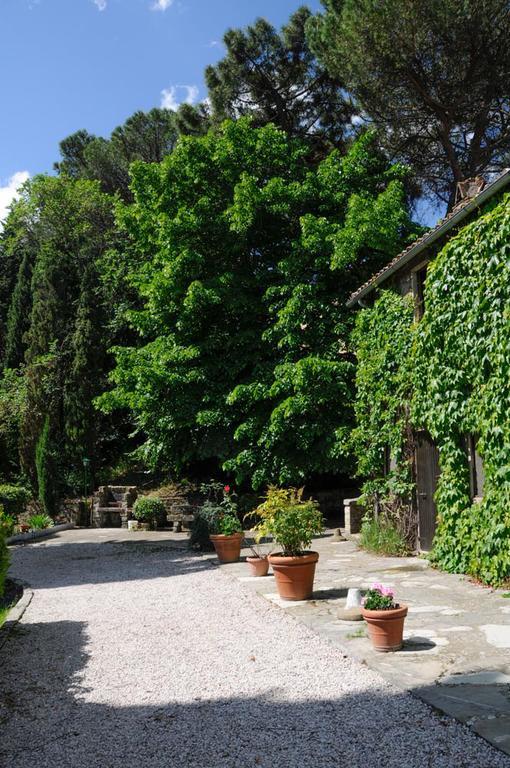 Borgo La Dogana Ξενοδοχείο Tuoro sul Trasimeno Εξωτερικό φωτογραφία