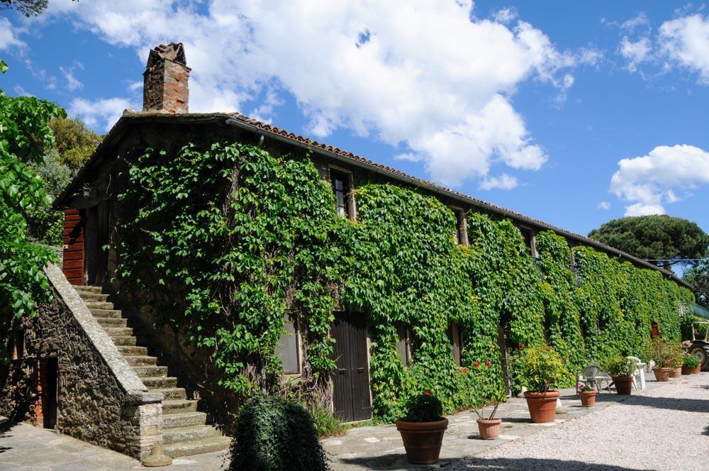 Borgo La Dogana Ξενοδοχείο Tuoro sul Trasimeno Εξωτερικό φωτογραφία