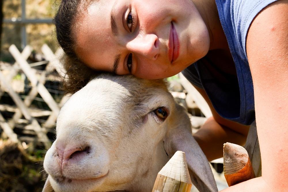Borgo La Dogana Ξενοδοχείο Tuoro sul Trasimeno Εξωτερικό φωτογραφία